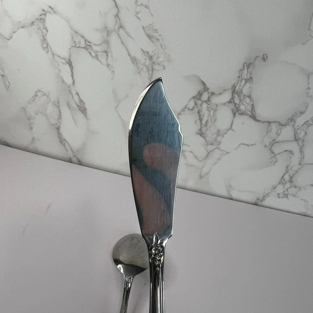 Lifetime Stainless Korea Pierrepont Dinner Spoon &‎ Butter Knife Set, Glossy